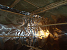 gallery/gal/3/s_40.jpg