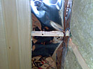 gallery/gal/3/s_5.jpg